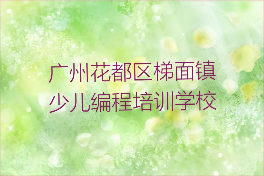 广州花都区梯面镇少儿编程培训学校