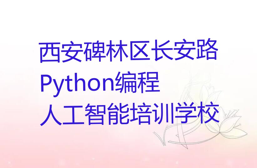 西安碑林区长安路Python编程人工智能培训学校