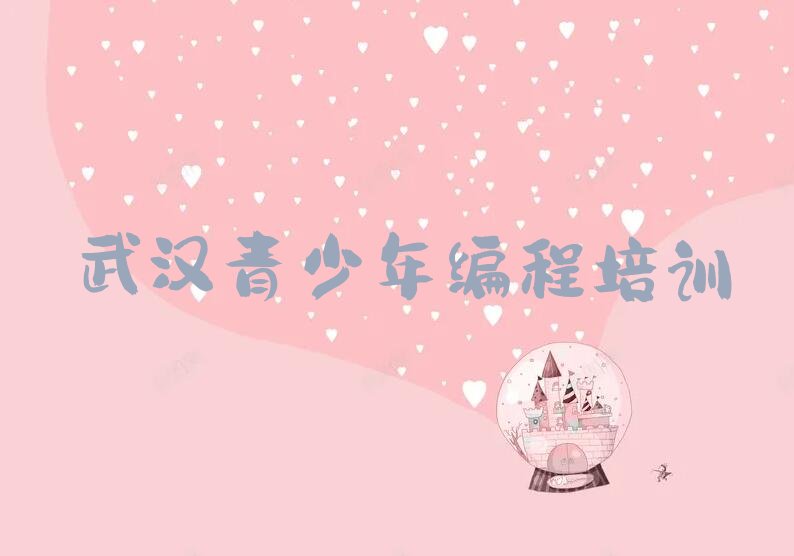 十大武汉汉南区比较好青少年编程培训课程排行榜