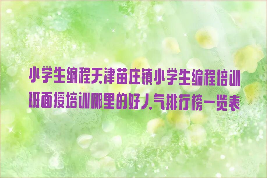 天津宁河区苗庄镇小学生编程培训学校