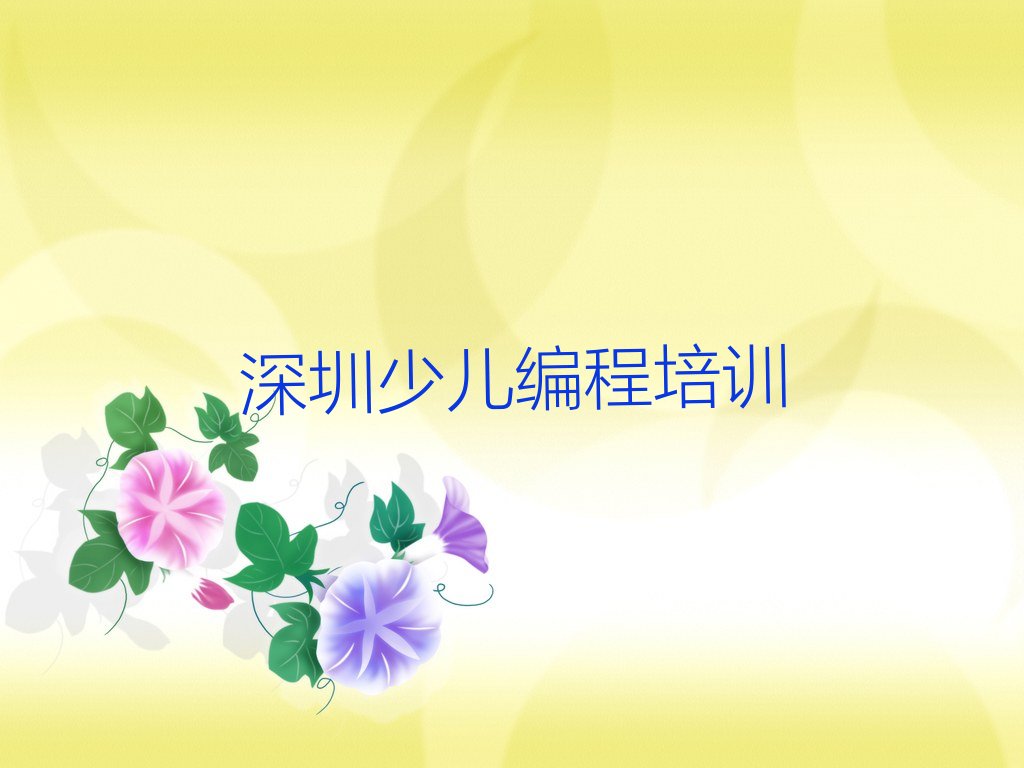 深圳少儿编程培训中心