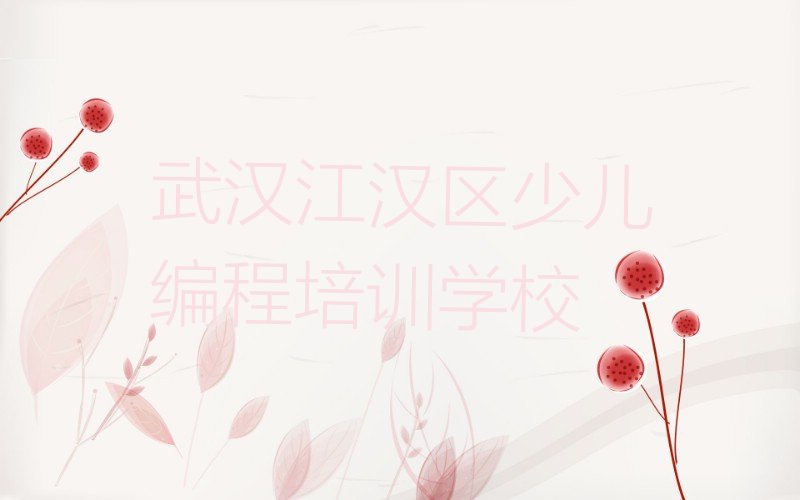 武汉江汉区少儿编程培训学校
