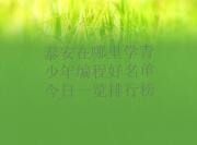 泰安在哪里学青少年编程好名单今日一览排行榜
