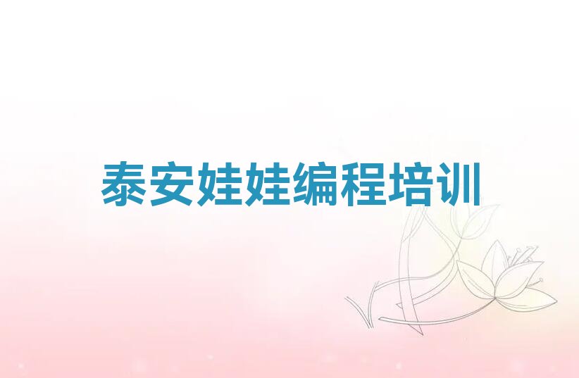 泰安泰山区少儿编程培训学校