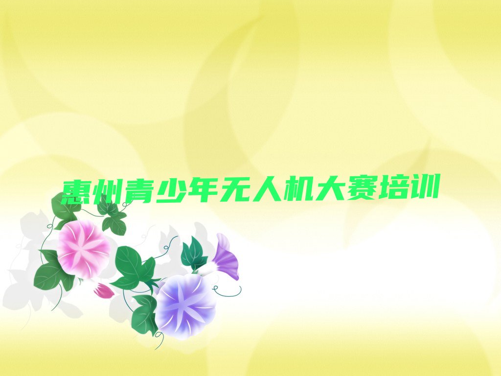 惠州惠城区少儿编程培训中心