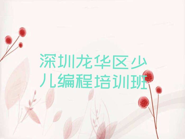 深圳龙华区少儿编程培训班