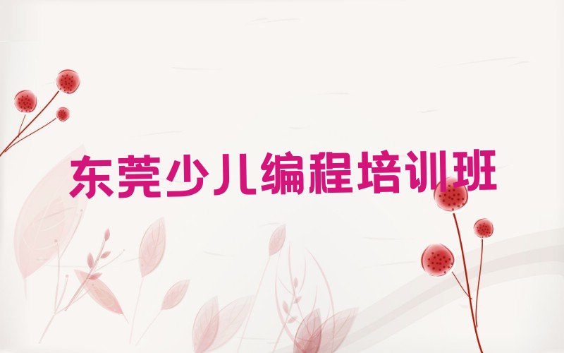 东莞少儿编程培训班