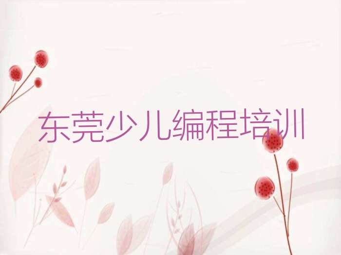 东莞少儿编程培训班