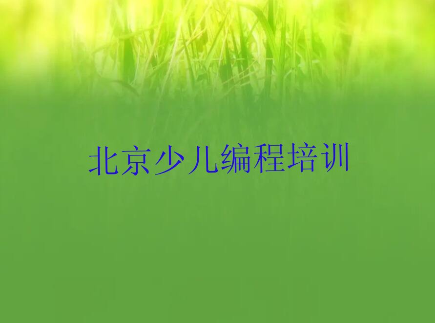 北京少儿编程培训中心