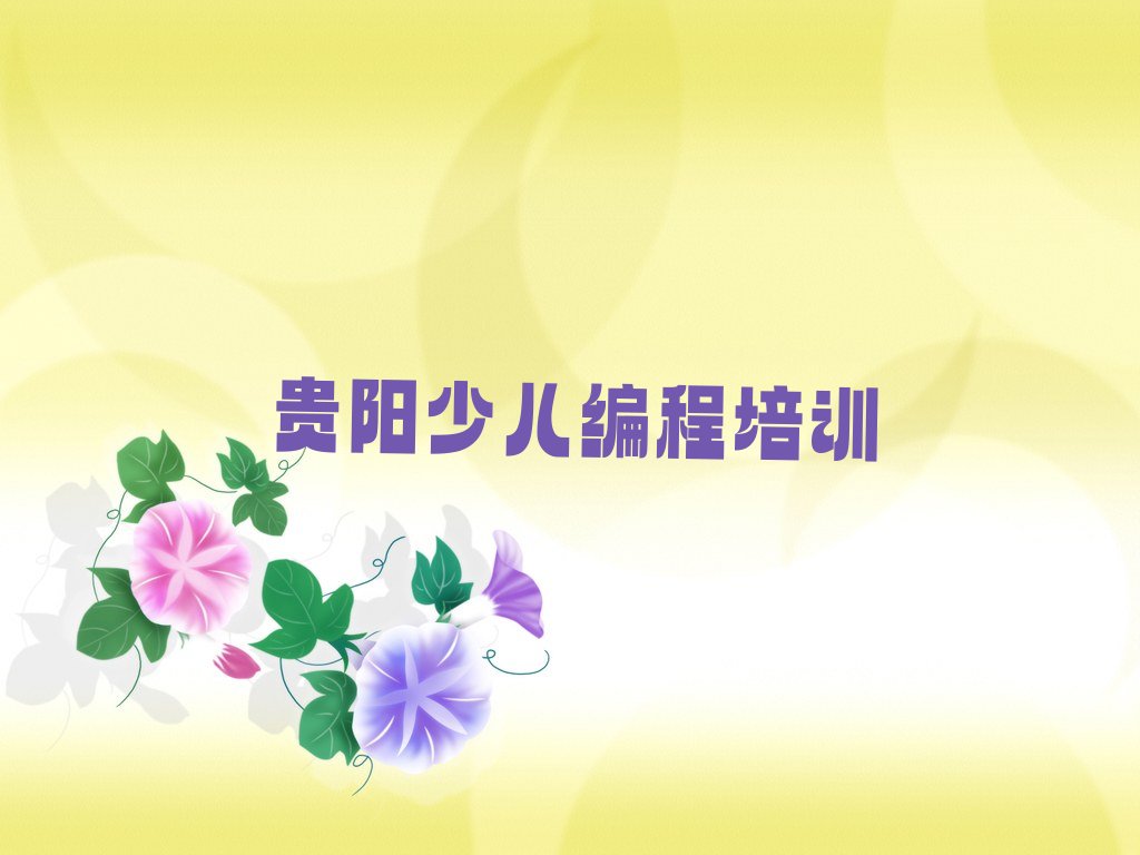 贵阳少儿编程培训学校