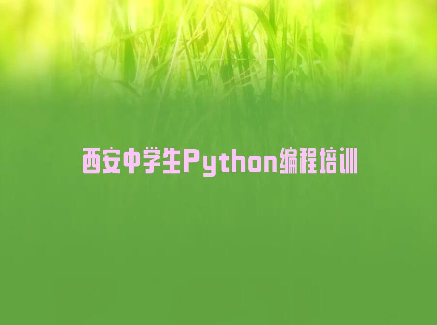 西安中学生Python编程培训学校