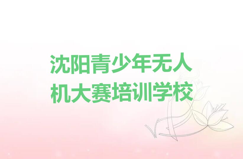 沈阳青少年无人机大赛培训学校