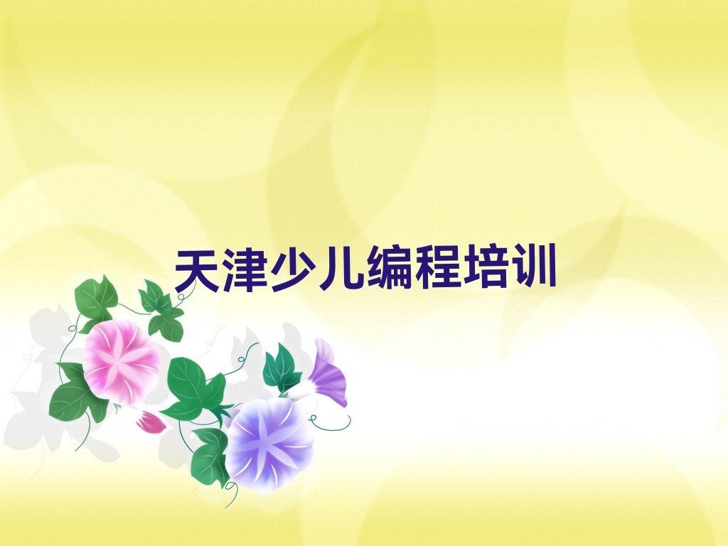 天津北辰区天津陆路港物流装备产业园少儿编程培训学校