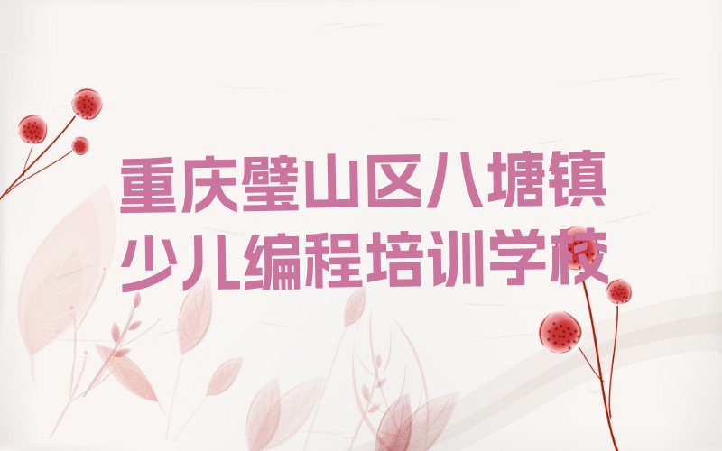 重庆璧山区八塘镇少儿编程培训学校