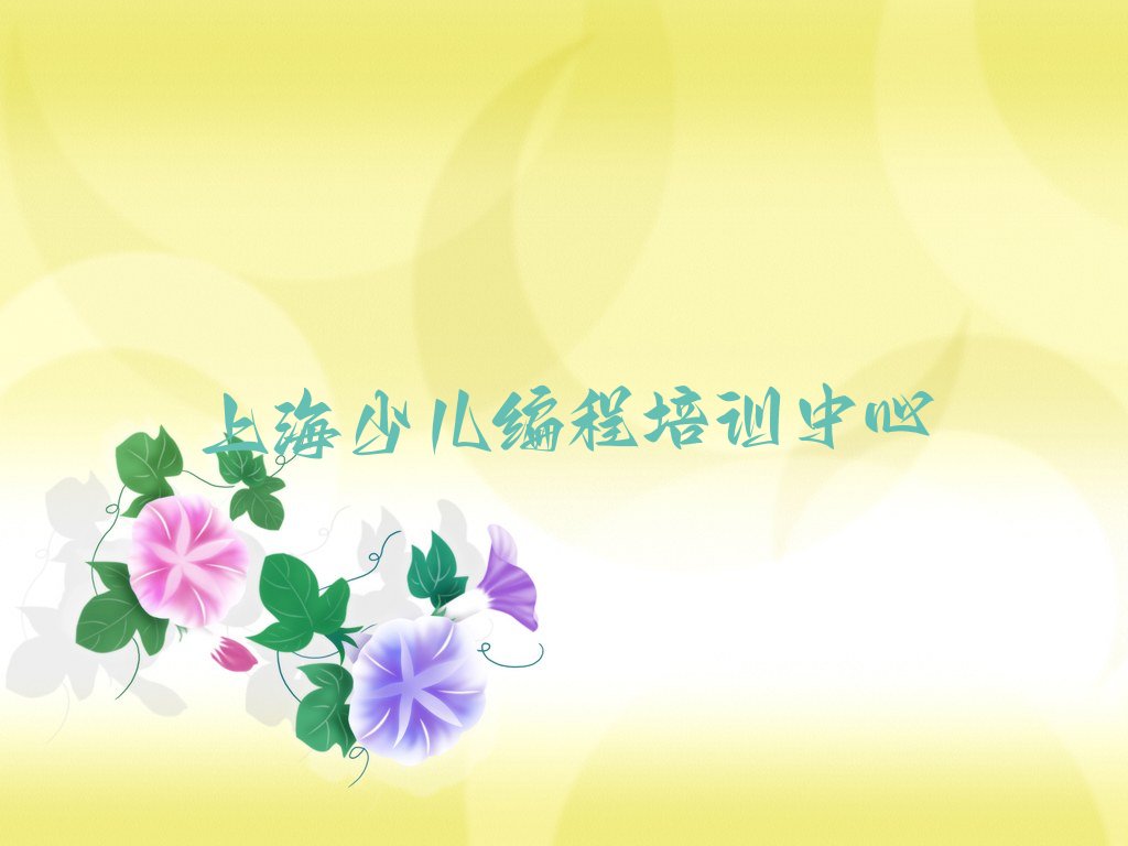 上海少儿编程培训中心
