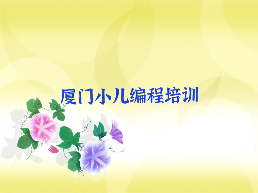 厦门翔安区小儿编程培训学校