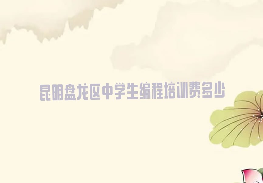 中学生编程