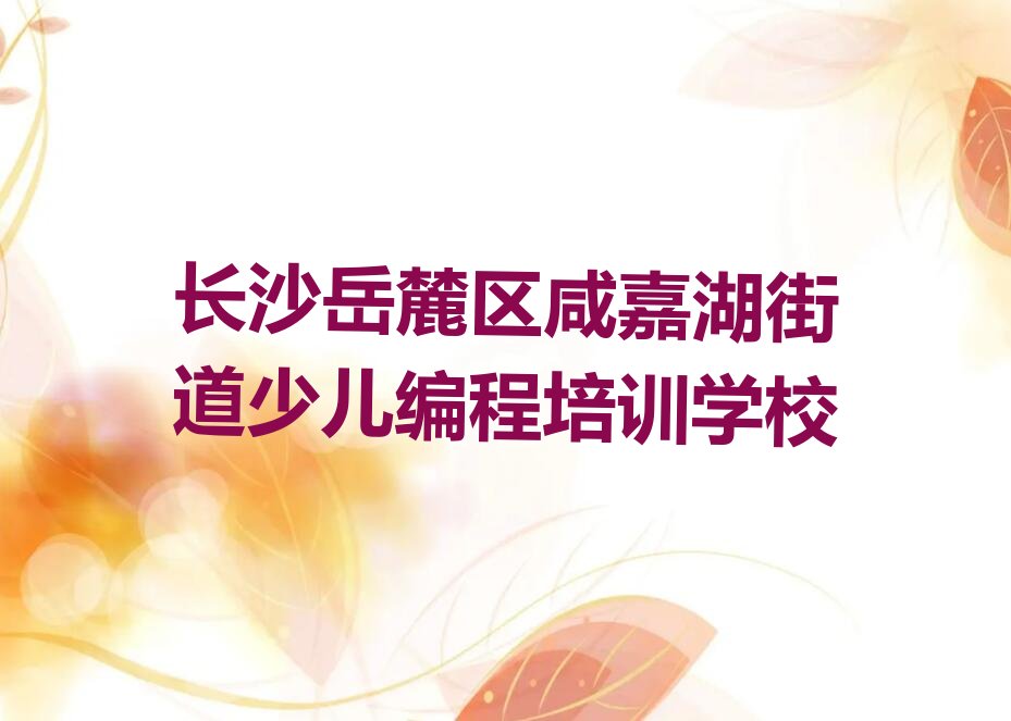 长沙岳麓区咸嘉湖街道少儿编程培训学校