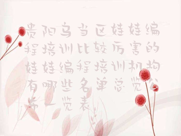 贵阳乌当区东风镇娃娃编程培训学校
