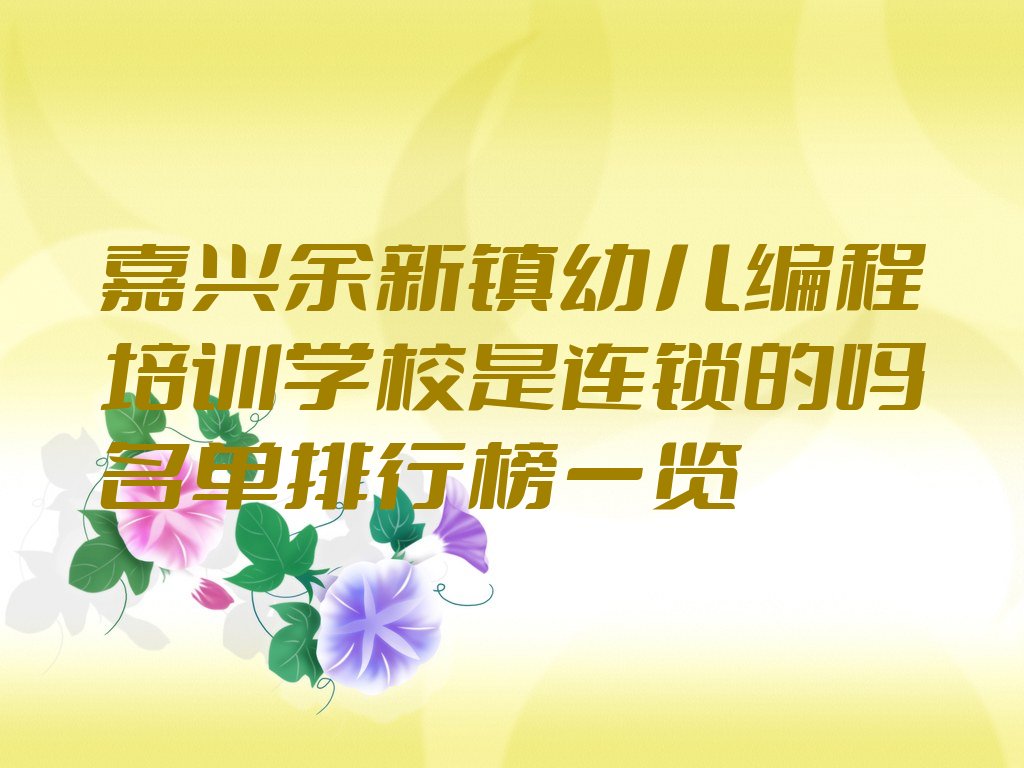 嘉兴南湖区余新镇幼儿编程培训学校