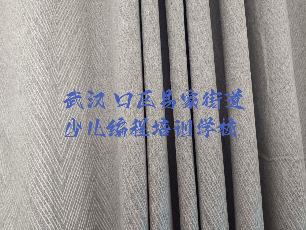 武汉硚口区易家街道少儿编程培训学校