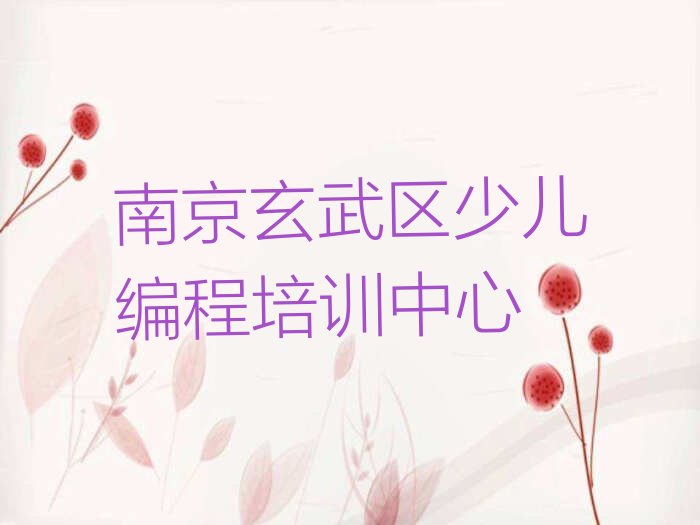 南京玄武区少儿编程培训中心