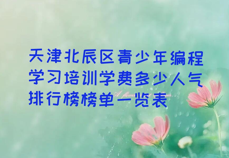 青少年编程