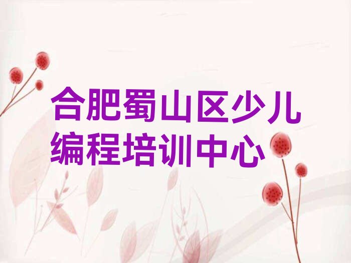 合肥蜀山区少儿编程培训中心