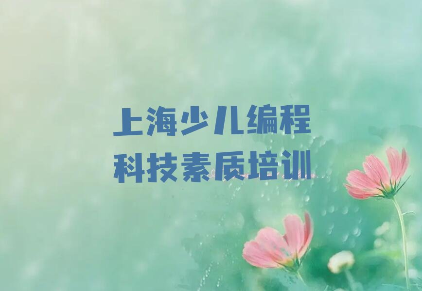 上海金山区少儿编程培训