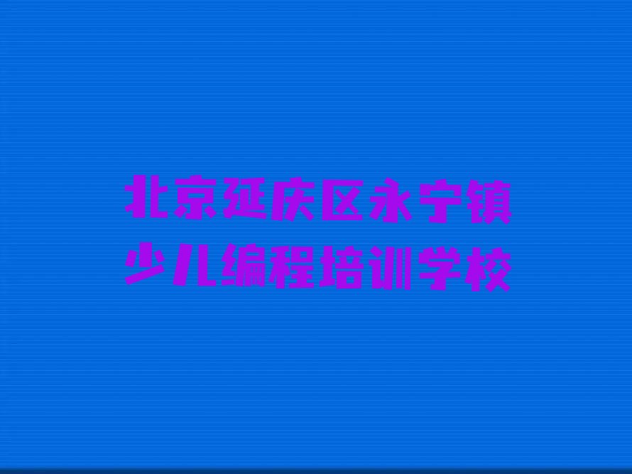 北京延庆区永宁镇少儿编程培训学校