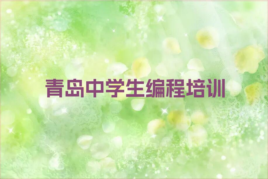青岛市北区少儿编程培训学校