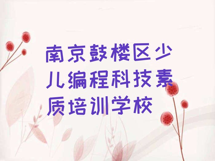 南京鼓楼区少儿编程科技素质培训学校