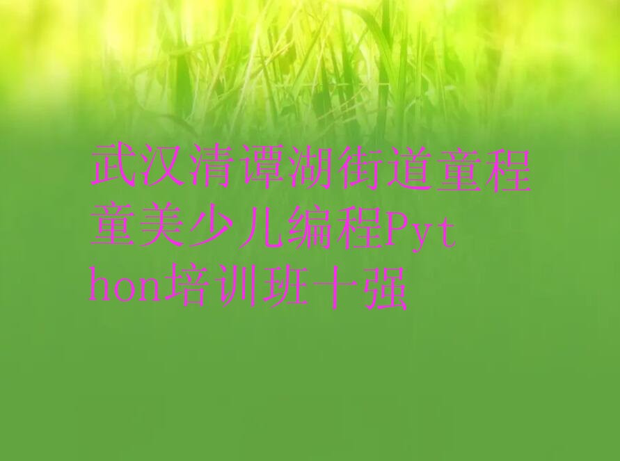 武汉洪山区少儿编程培训