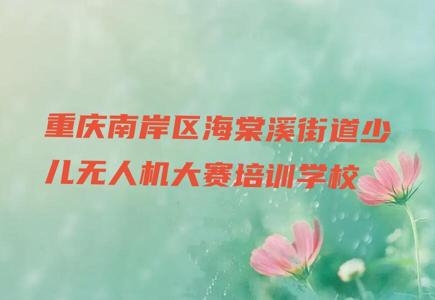 十大重庆南岸区少儿无人机大赛培训班是怎么学的呢排行榜