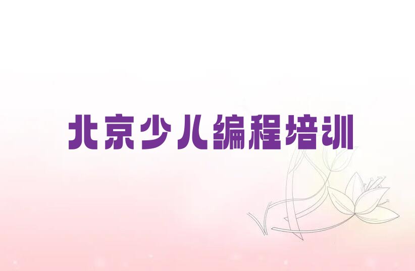 北京丰台区宛平城少儿编程科技素质培训学校