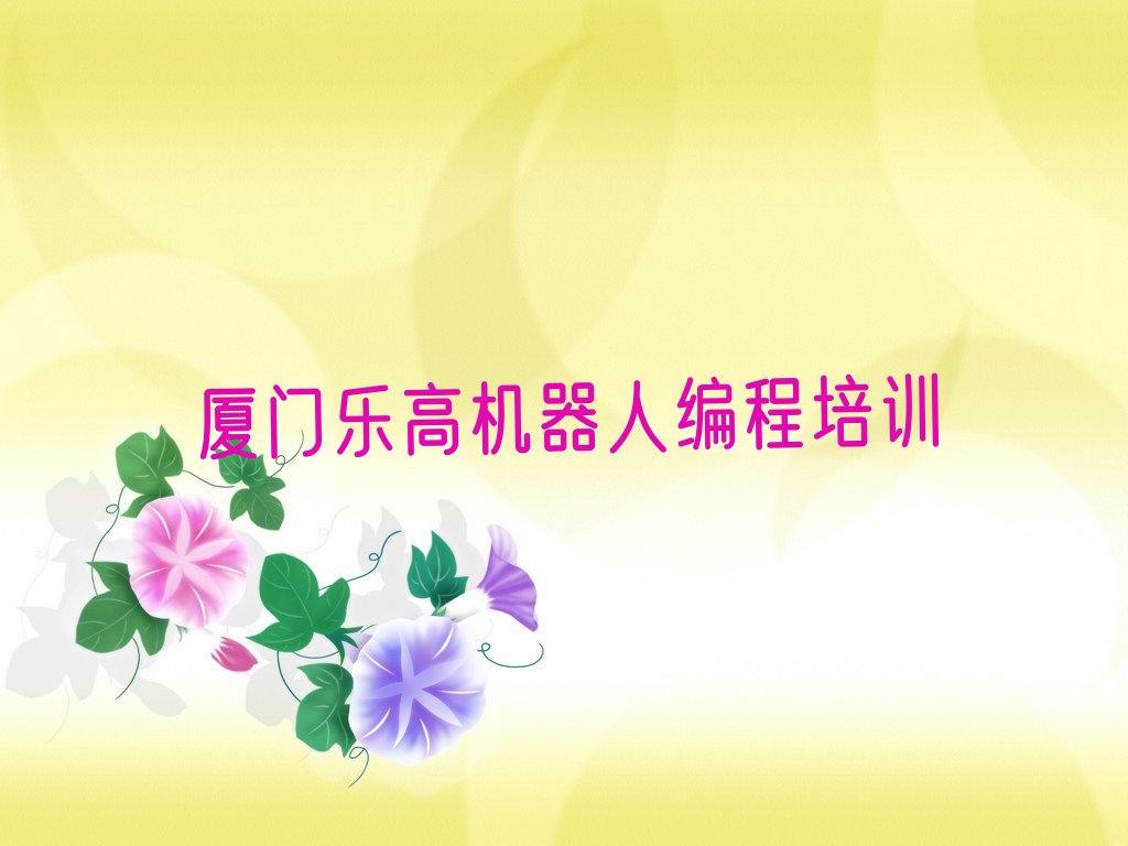 厦门翔安区少儿编程培训