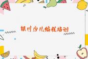 2025年银川兴庆区孩子编程培训班课程表介绍推荐今日公布一览表