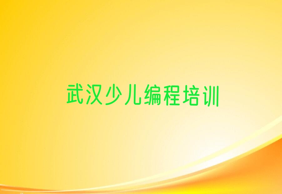 武汉黄陂区少儿编程培训中心