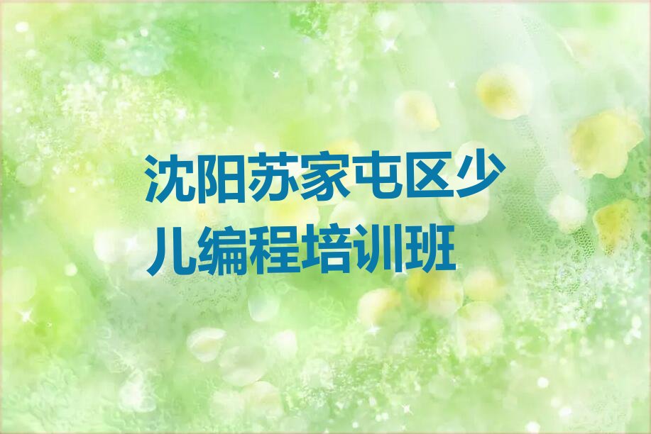 沈阳苏家屯区少儿编程培训班