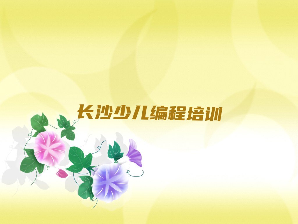 长沙少儿编程培训