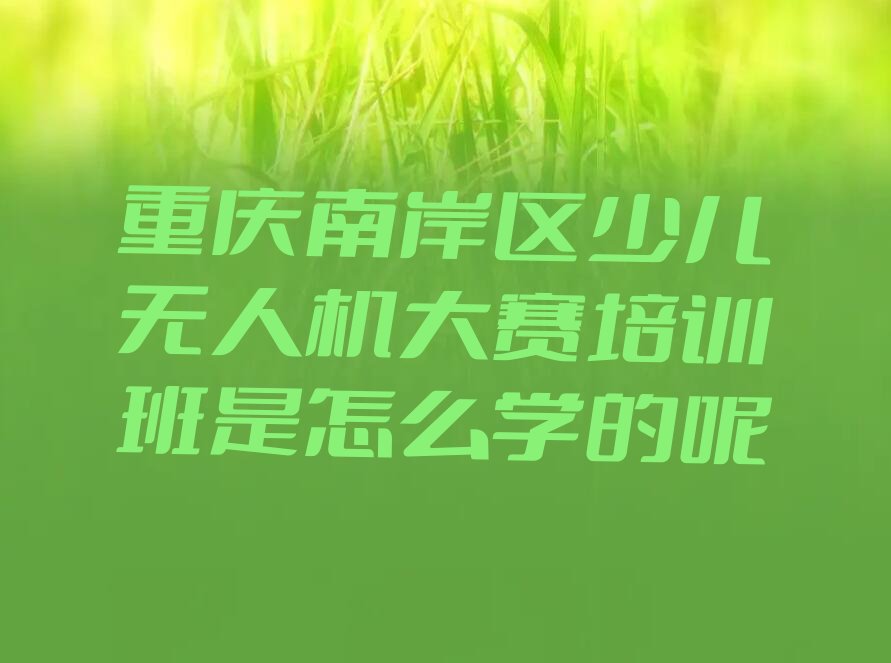 重庆南岸区海棠溪街道少儿无人机大赛培训学校