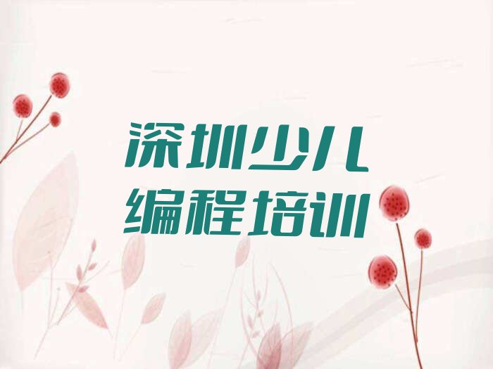 深圳福田区少儿编程培训中心