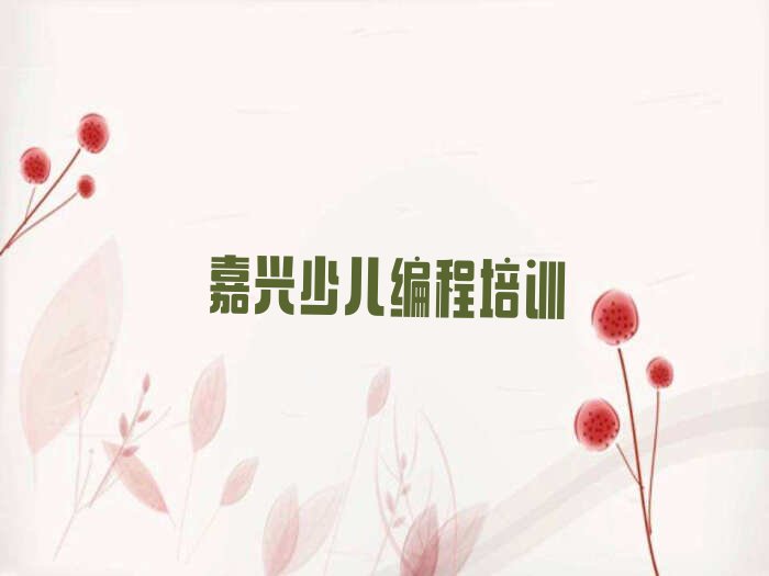 嘉兴南湖区孩子编程培训学校