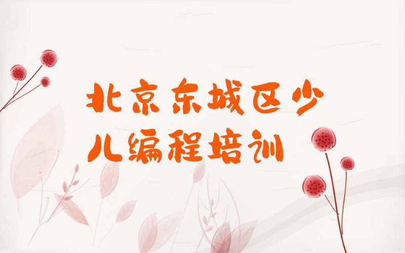 北京东城区少儿编程培训