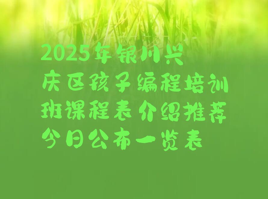 银川兴庆区少儿编程培训