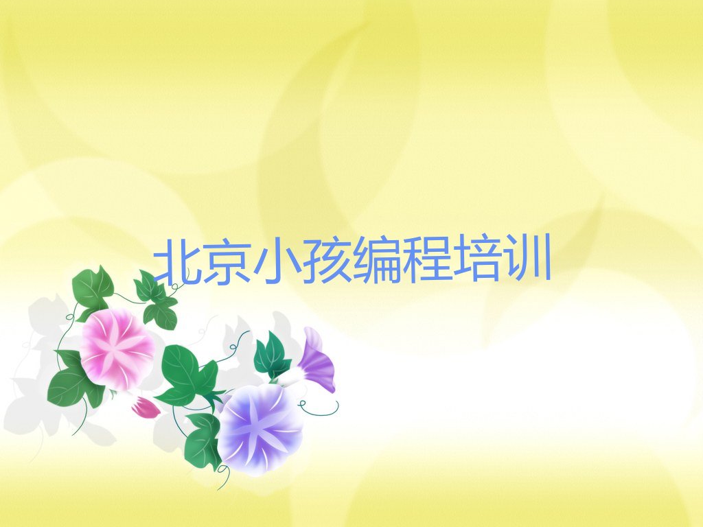 小孩编程
