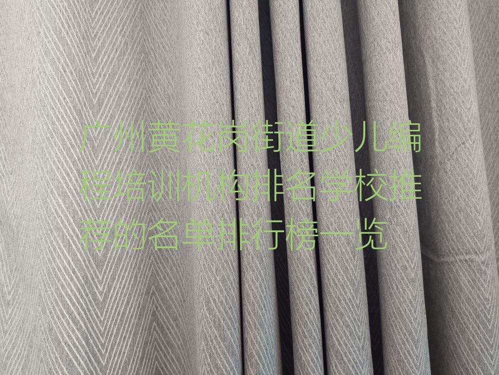 广州少儿编程培训学校