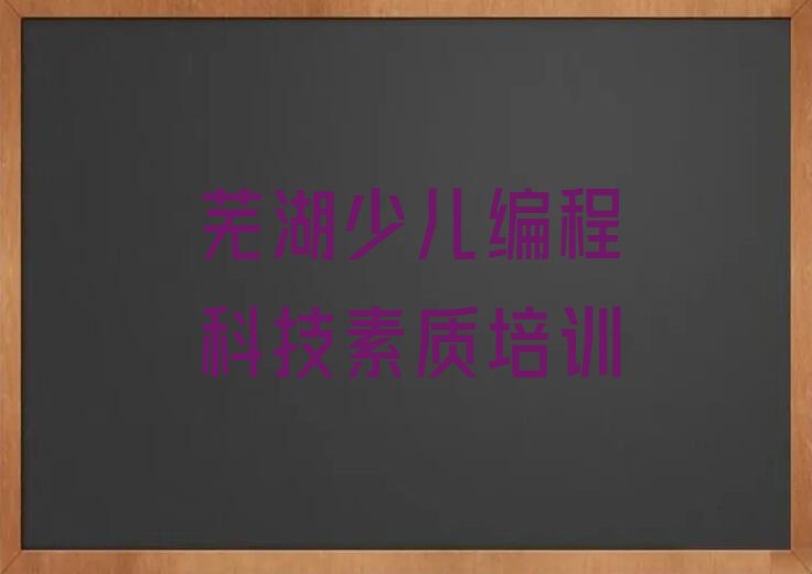 芜湖鸠江区少儿编程培训中心