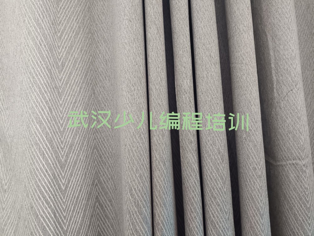 武汉蔡甸区山街道孩子编程培训学校
