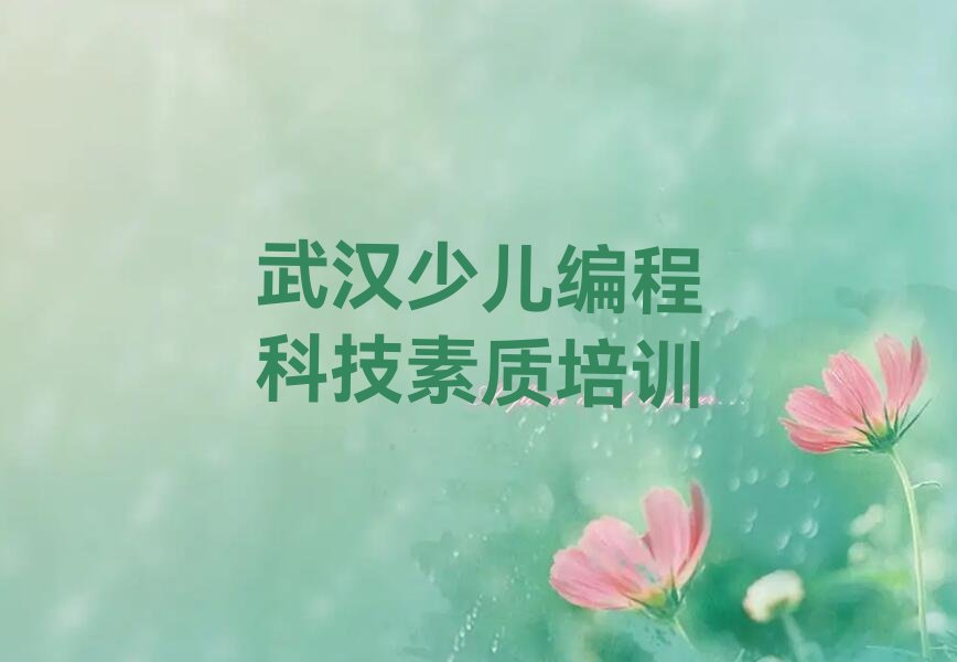 十大2025武汉东西湖区农科所管理处学少儿编程科技素质的培训中心十大名单榜一览排行榜排行榜